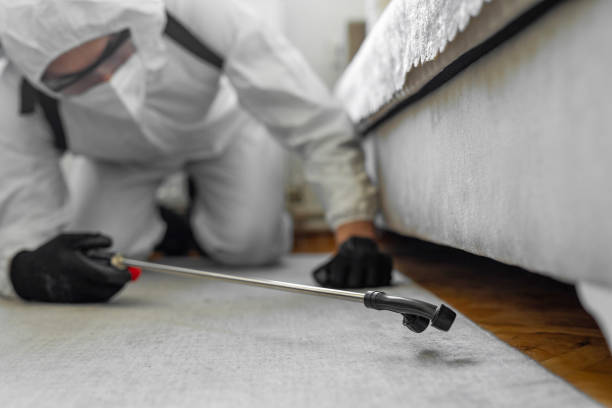Professional Pest Control technician working in Aristocrat Ranchettes, CO