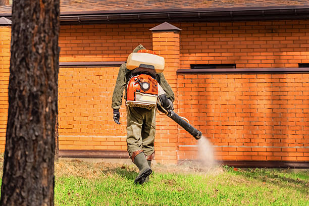 Trusted Mosquito Control service in Aristocrat Ranchettes, CO - Nex Pest Control